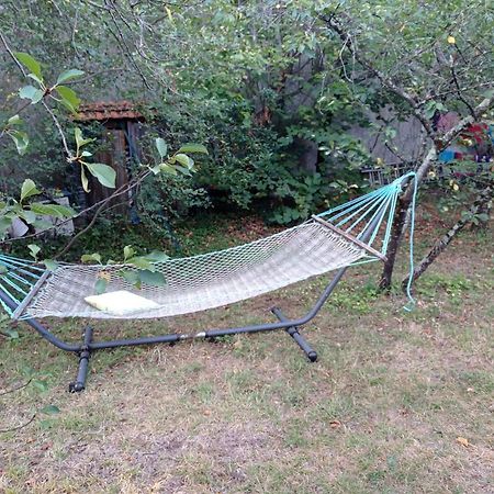Appart Independant, 1 Lit Deux Personnes Et 1 Appoint Piscine Jardin Direct Gare Aeroport Et Jardin Тулуза Екстериор снимка