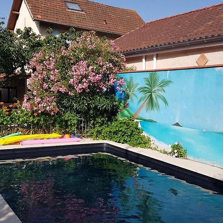 Appart Independant, 1 Lit Deux Personnes Et 1 Appoint Piscine Jardin Direct Gare Aeroport Et Jardin Тулуза Екстериор снимка
