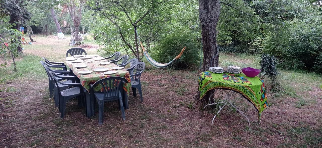 Appart Independant, 1 Lit Deux Personnes Et 1 Appoint Piscine Jardin Direct Gare Aeroport Et Jardin Тулуза Екстериор снимка
