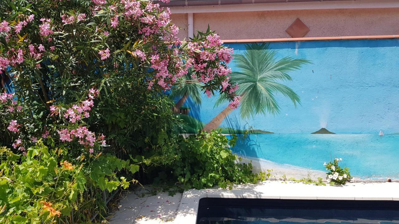 Appart Independant, 1 Lit Deux Personnes Et 1 Appoint Piscine Jardin Direct Gare Aeroport Et Jardin Тулуза Екстериор снимка