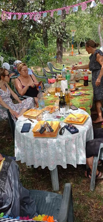 Appart Independant, 1 Lit Deux Personnes Et 1 Appoint Piscine Jardin Direct Gare Aeroport Et Jardin Тулуза Екстериор снимка