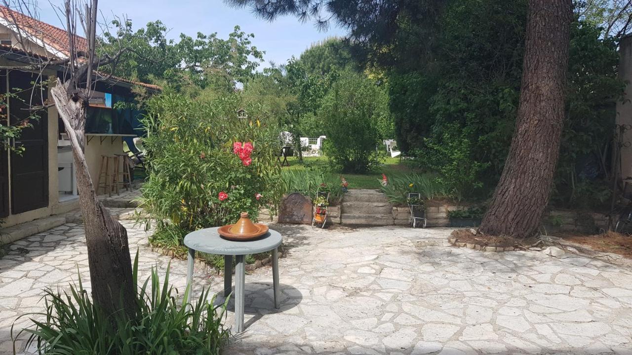 Appart Independant, 1 Lit Deux Personnes Et 1 Appoint Piscine Jardin Direct Gare Aeroport Et Jardin Тулуза Екстериор снимка