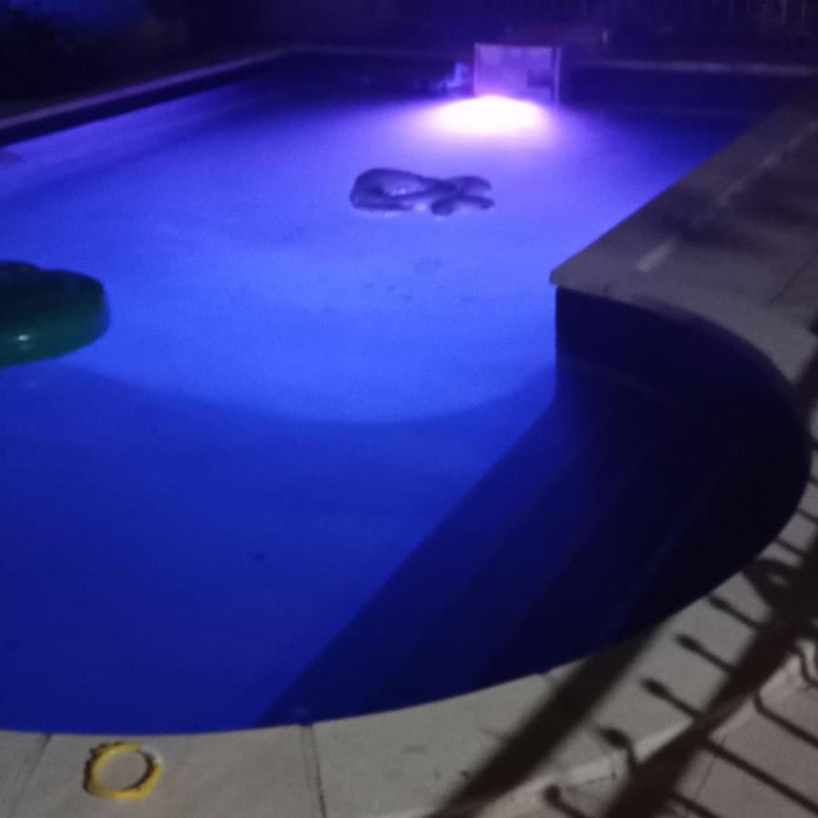 Appart Independant, 1 Lit Deux Personnes Et 1 Appoint Piscine Jardin Direct Gare Aeroport Et Jardin Тулуза Екстериор снимка