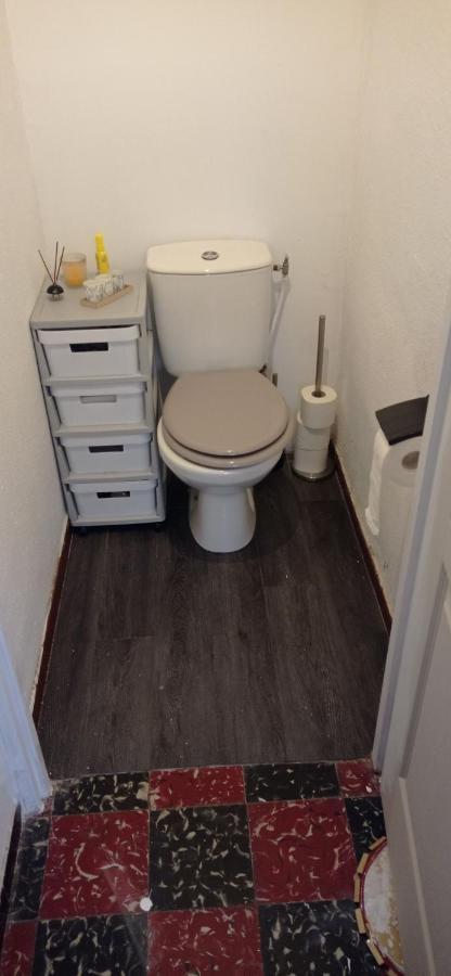 Appart Independant, 1 Lit Deux Personnes Et 1 Appoint Piscine Jardin Direct Gare Aeroport Et Jardin Тулуза Екстериор снимка