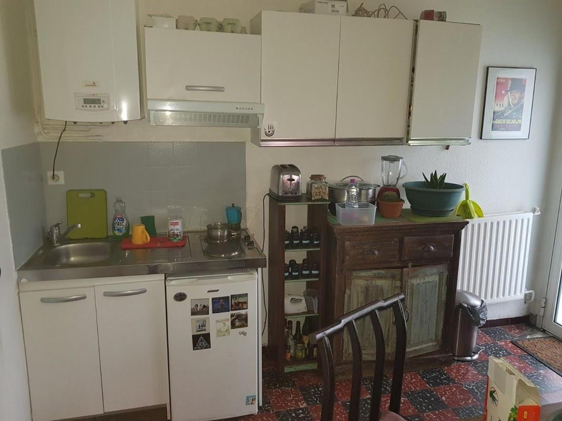 Appart Independant, 1 Lit Deux Personnes Et 1 Appoint Piscine Jardin Direct Gare Aeroport Et Jardin Тулуза Екстериор снимка